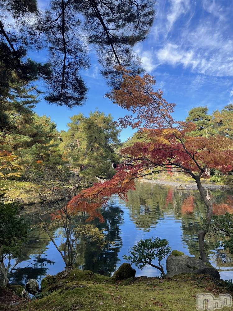 ĮۥȡܡСA151(ݥ)  Ƥ1122̥֥֤Ȥ