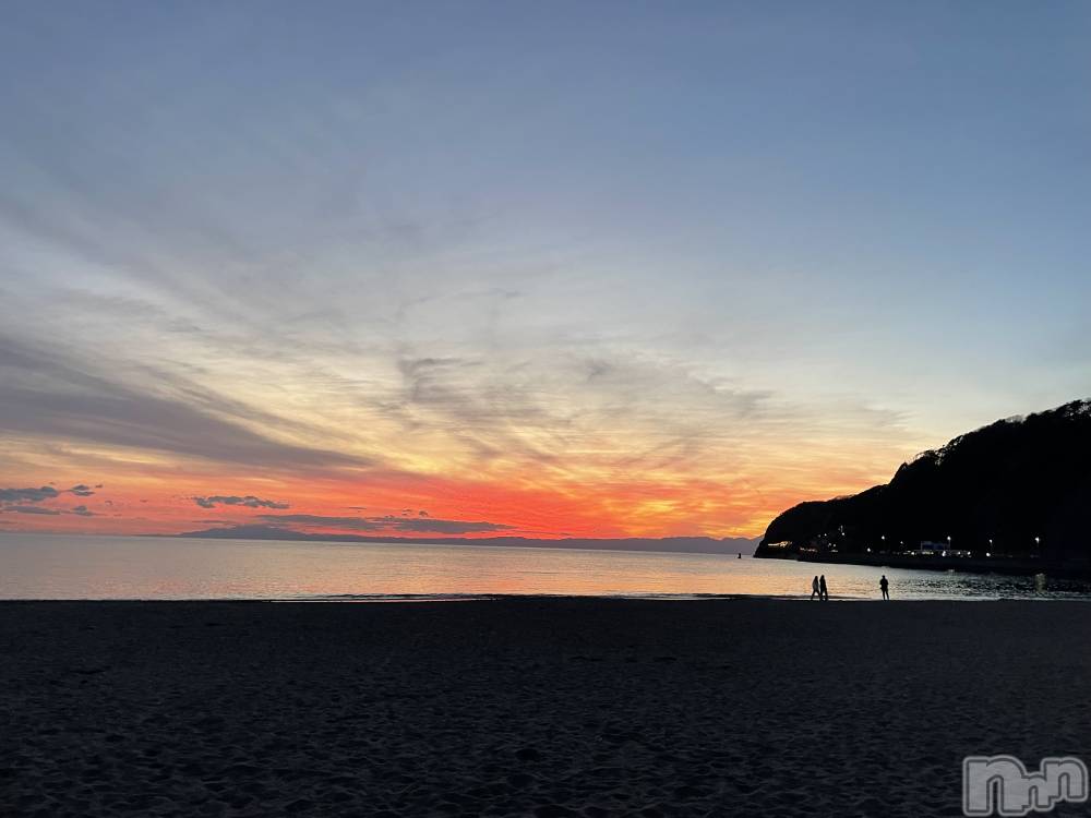 ĮۥȡܡСA151(ݥ)  Ƥ1128ָ̥֥ʤʿ