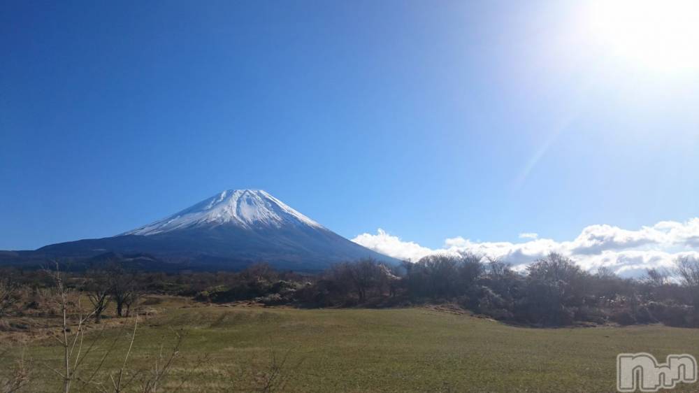 ĮۥȡܡСA151(ݥ)  Ƥ126̥֥֤