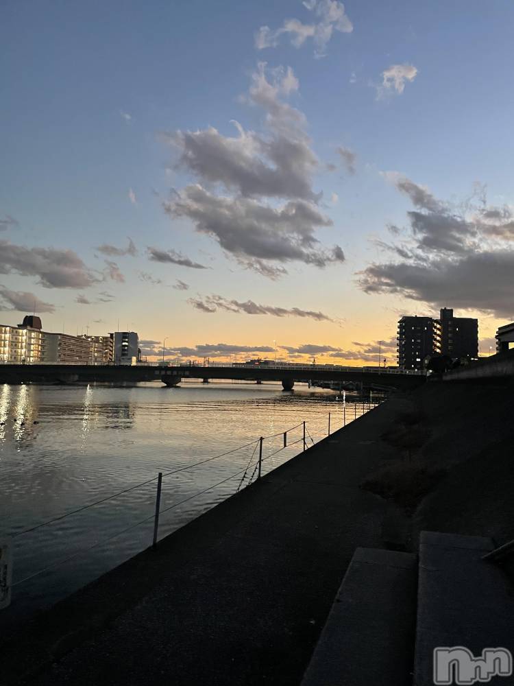 ��Į�ۥ��ȡ��ܡ������С�A151(�����������ݥ���) ���� ���Ƥ�1��15���̥�֥����֤�������