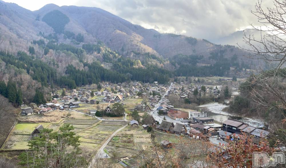 ��Į�ۥ��ȡ��ܡ������С�A151(�����������ݥ���) ���� ���Ƥ�1��25���̥�֥����ֹߤä��͡���