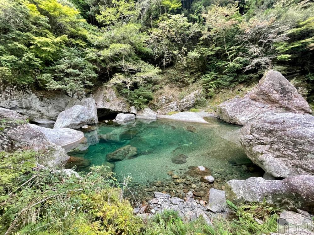 ��Į�ۥ��ȡ��ܡ������С�A151(�����������ݥ���) ���� ���Ƥ�2��4���̥�֥����֤ߤɤ��