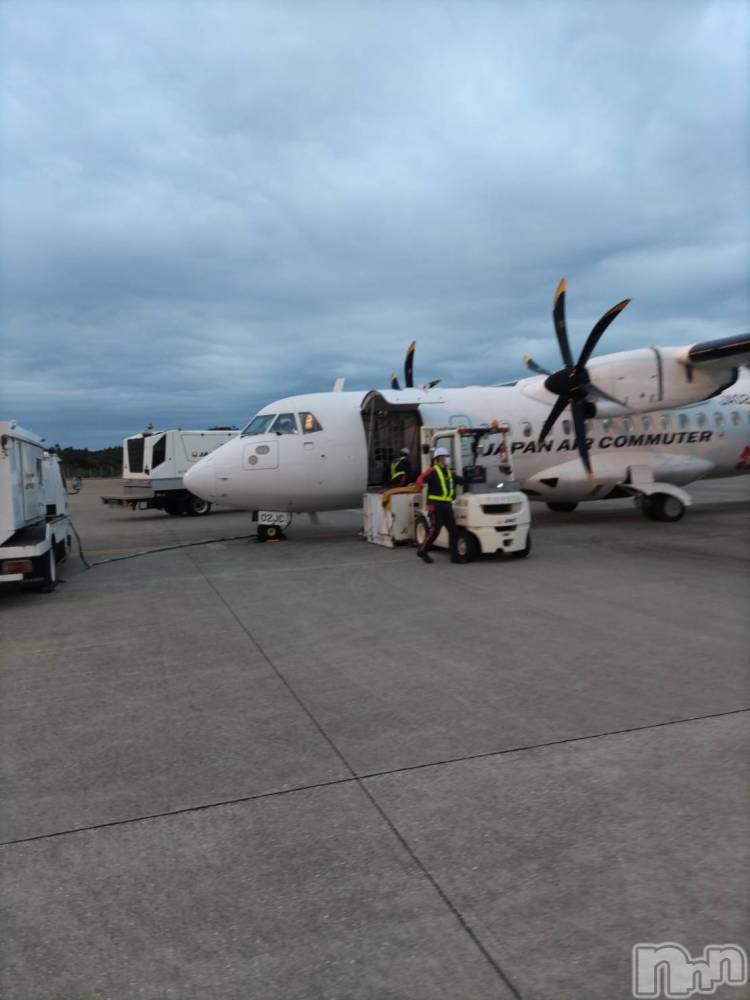 ��Į�ۥ��ȡ��ܡ������С�A151(�����������ݥ���) ���� ���Ƥ�2��12���̥�֥�����I can fly��