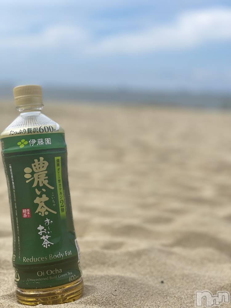 ��Į�ۥ��ȡ��ܡ������С�A151(�����������ݥ���) ���� ���Ƥ�3��29���̥�֥�����ǻ�����ǻ���ۤɤ�����