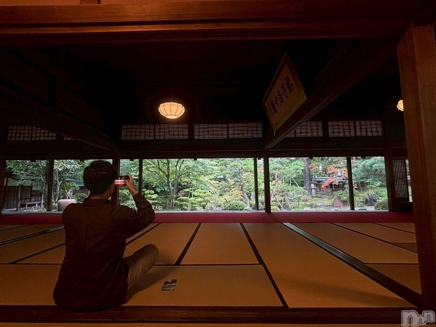 ĮۥȡܡСA151(ݥ) 2025ǯ115̥֥λ