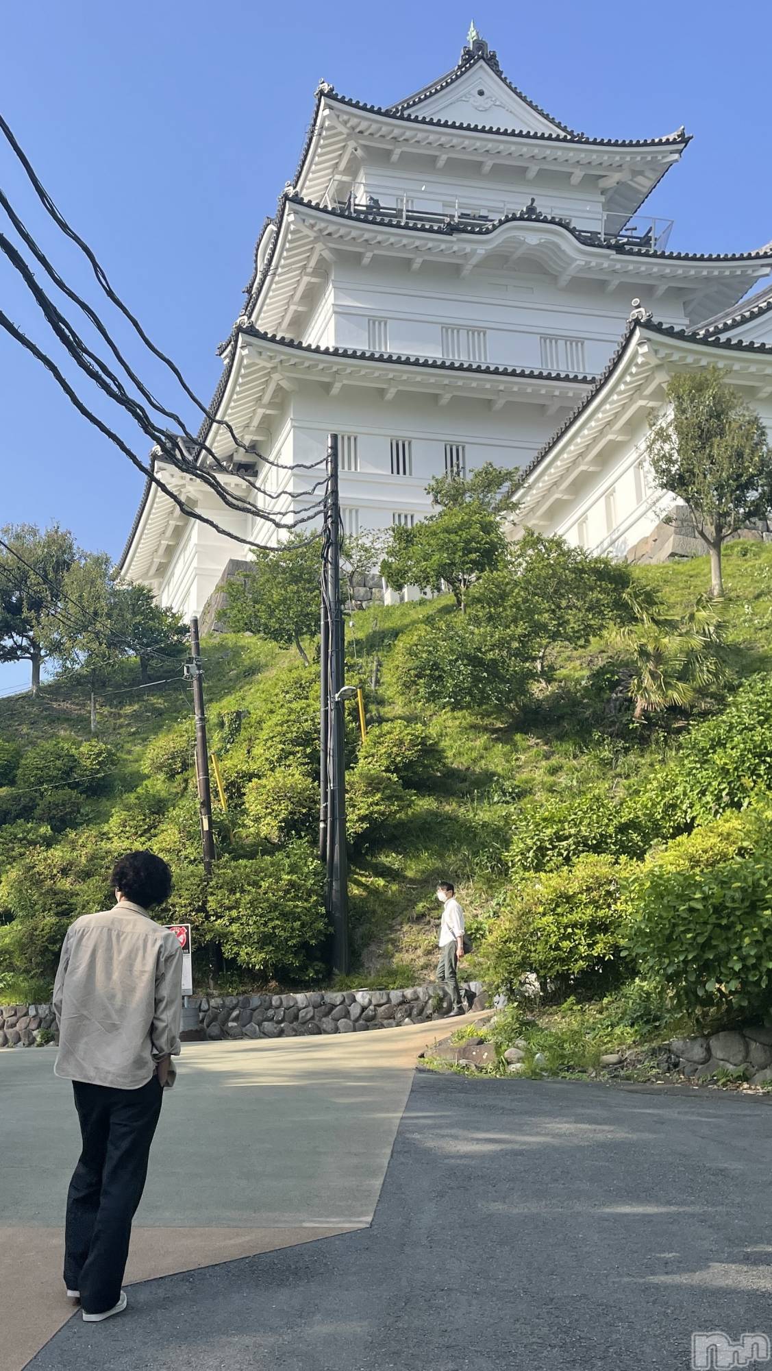 ĮۥȡܡСA151(ݥ) 2025ǯ118ֳ̥֥ʤ褯Ƨ߳