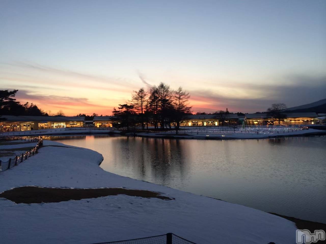 ĮۥȡܡСA151(ݥ) 2025ǯ1112̥֥֤㤤