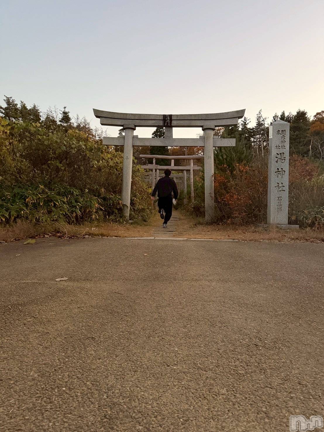 ĮۥȡܡСA151(ݥ) 2025ǯ1119̥֥ɤä褫