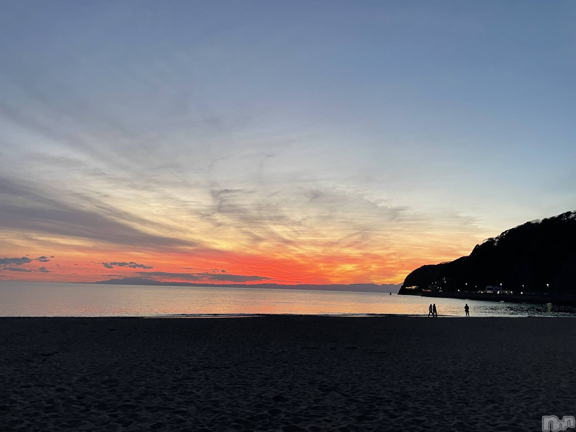 ĮۥȡܡСA151(ݥ) 2025ǯ1128ָ̥֥ʤʿ