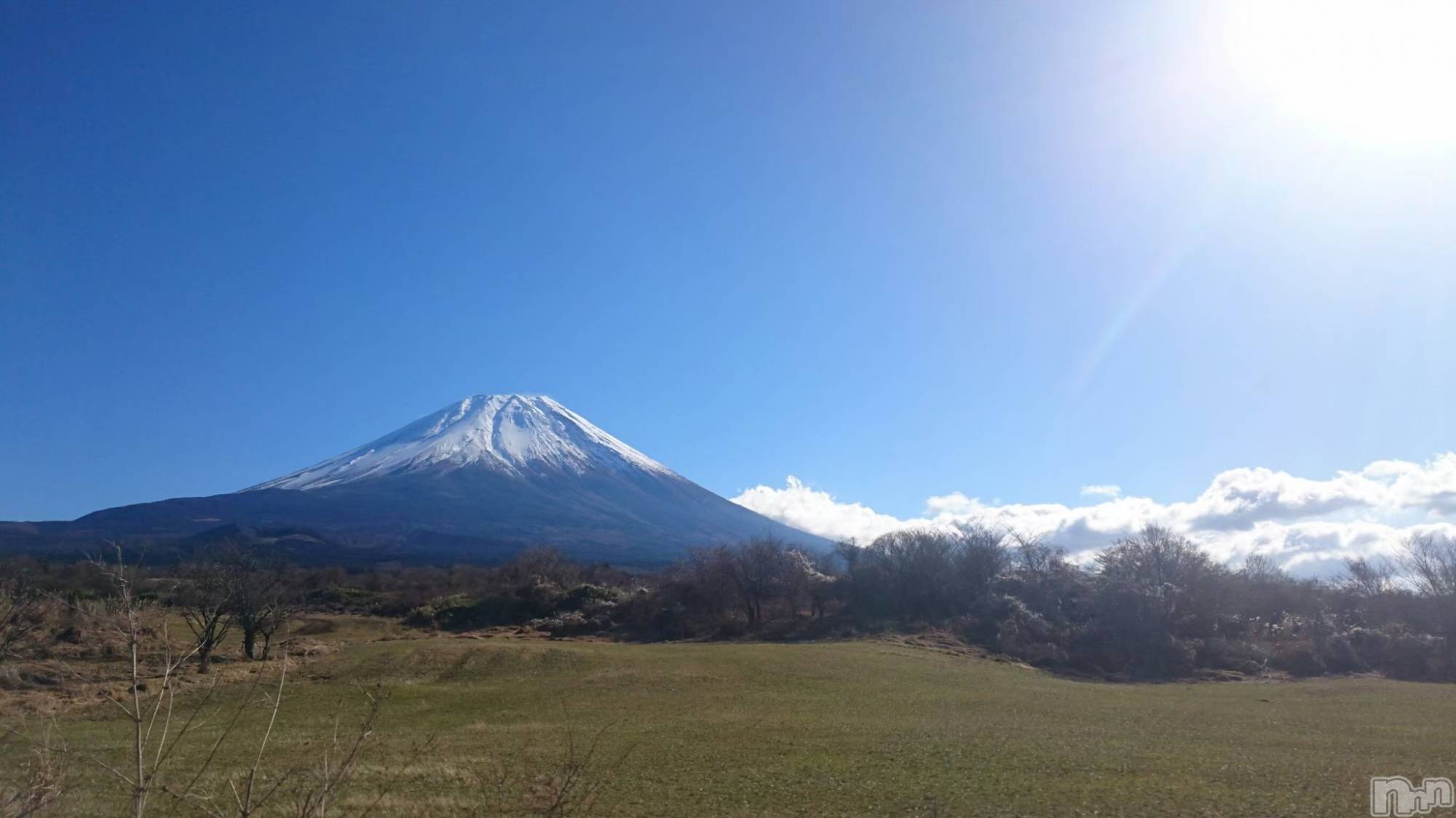 ĮۥȡܡСA151(ݥ) 2025ǯ126̥֥֤