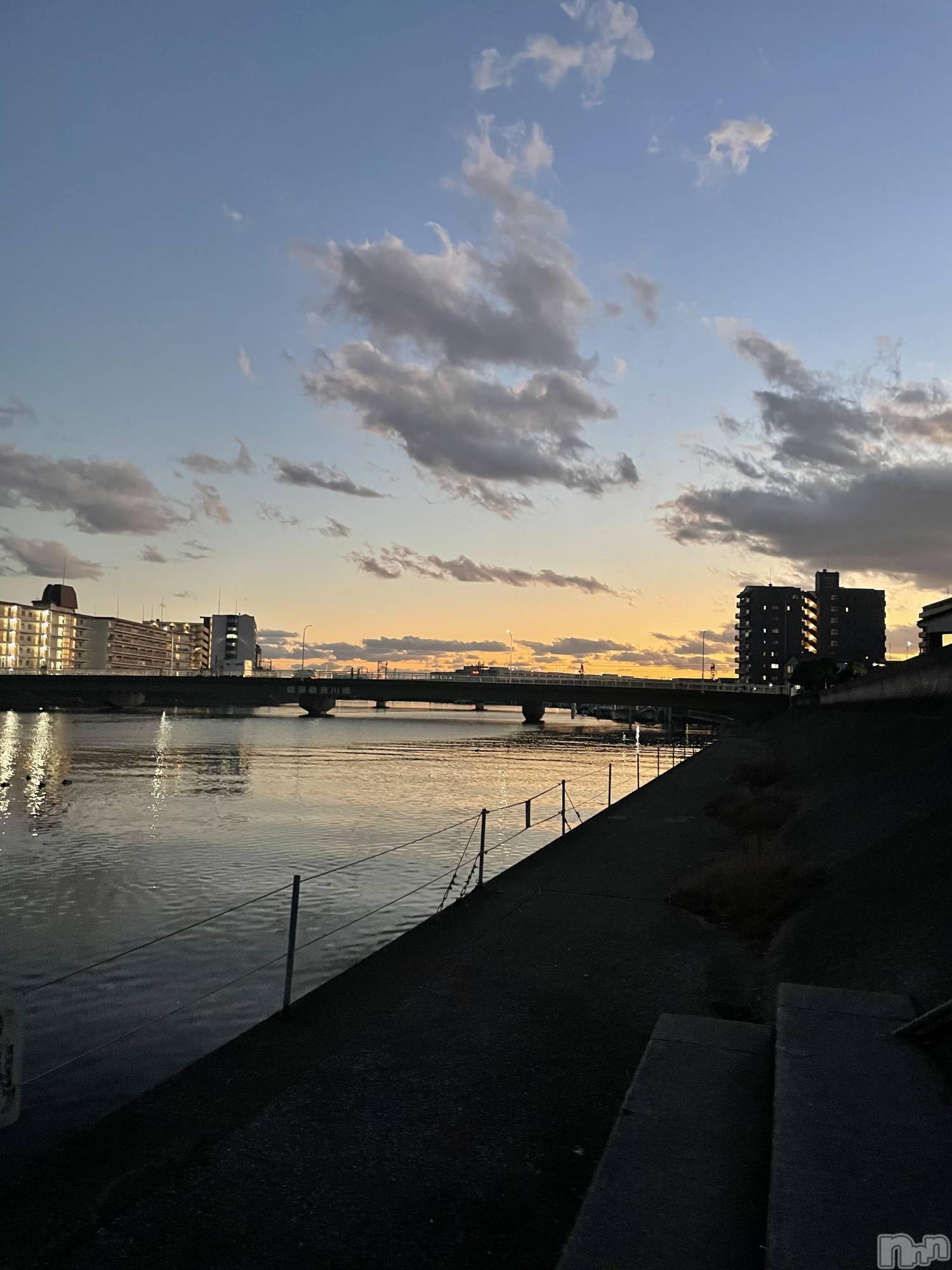 ��Į�ۥ��ȡ��ܡ������С�A151(�����������ݥ���) ��2026ǯ1��15���̥�֥����֤�������