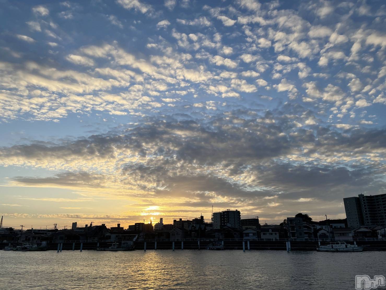 ��Į�ۥ��ȡ��ܡ������С�A151(�����������ݥ���) ��2026ǯ1��22���̥�֥����־忶���