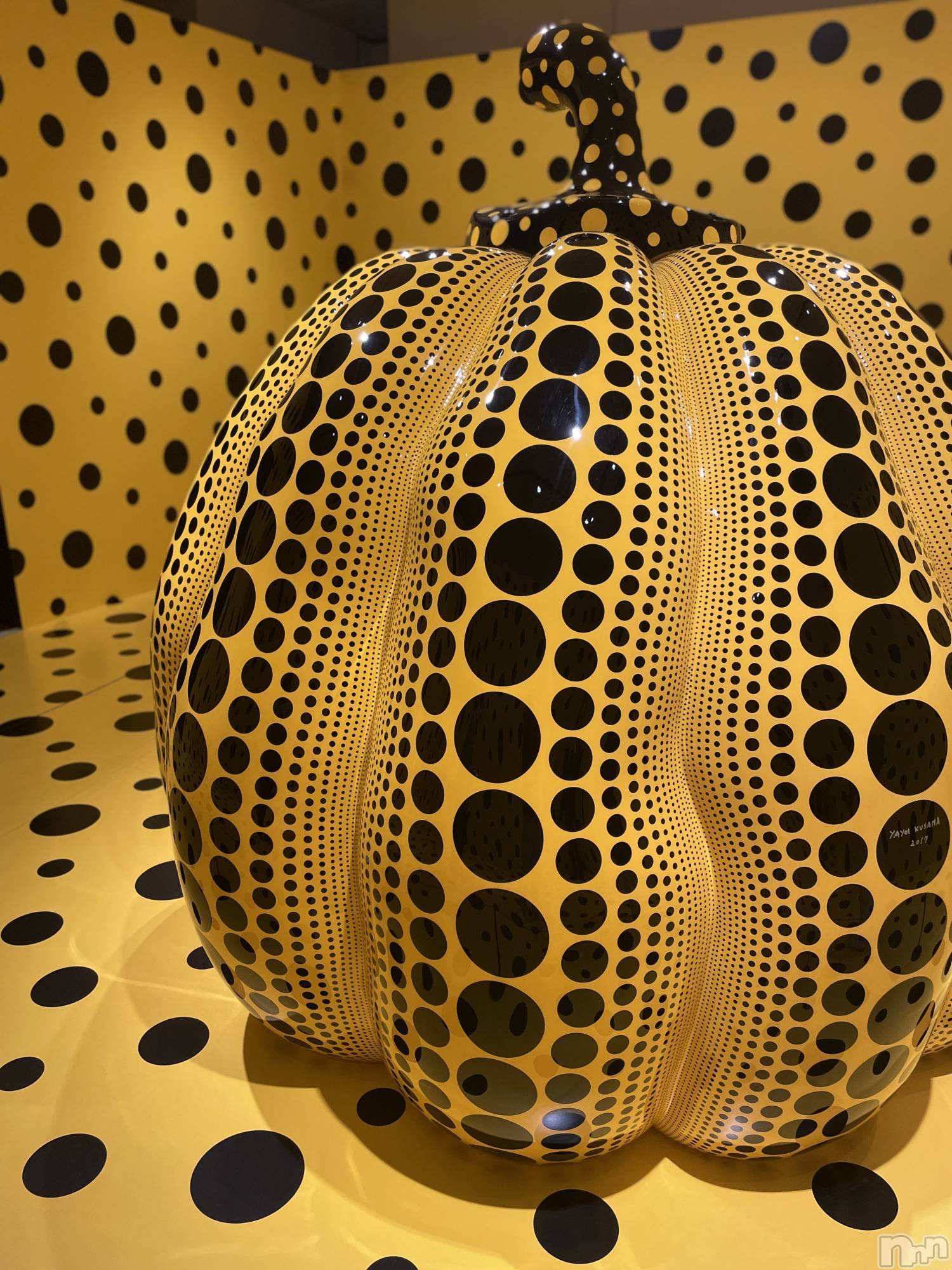 ��Į�ۥ��ȡ��ܡ������С�A151(�����������ݥ���) ��2026ǯ2��16���̥�֥����ֽ����ζ��ݾɡ�