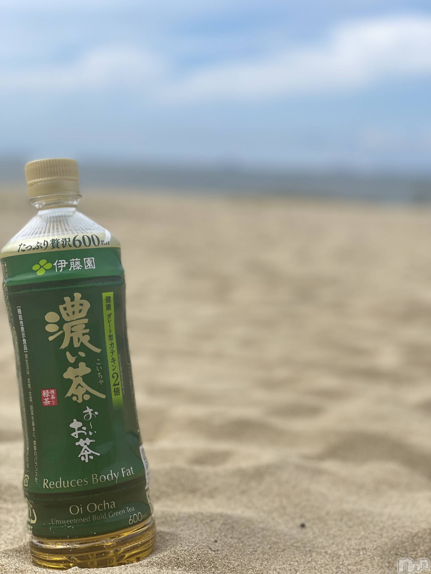 ��Į�ۥ��ȡ��ܡ������С�A151(�����������ݥ���) ��2026ǯ3��29���̥�֥�����ǻ�����ǻ���ۤɤ�����