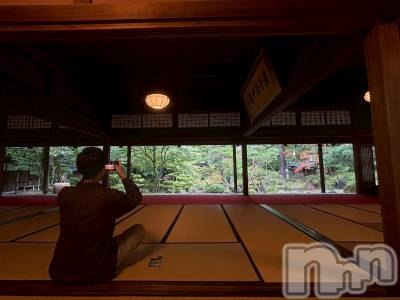 ĮۥȡܡСA151(ݥ)  (34)115̥֥λ