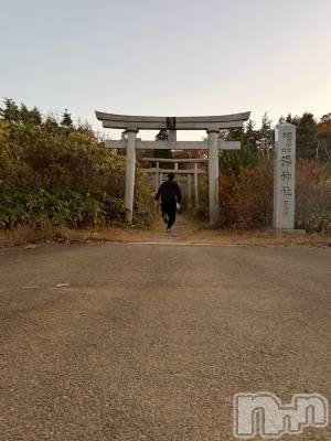 ĮۥȡܡСA151(ݥ)  (34)1119̥֥ɤä褫