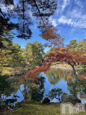 ĮۥȡܡСA151(ݥ)  (34)1122̥֥֤Ȥ