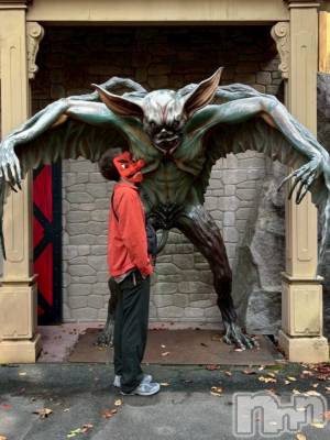 ĮۥȡܡСA151(ݥ)  (34)1127ָ̥֥夲Ƥ