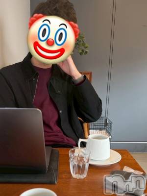 ��Į�ۥ��ȡ��ܡ������С�A151(�����������ݥ���) ���� ����(34)��12��17���̥�֥����ֶ줤��