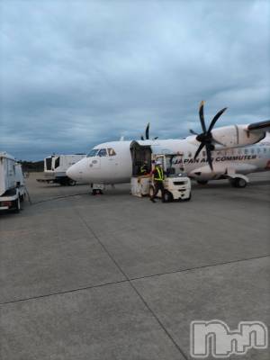 ��Į�ۥ��ȡ��ܡ������С�A151(�����������ݥ���) ���� ����(34)��2��12���̥�֥�����I can fly��