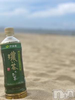 ��Į�ۥ��ȡ��ܡ������С�A151(�����������ݥ���) ���� ����(34)��3��29���̥�֥�����ǻ�����ǻ���ۤɤ�����