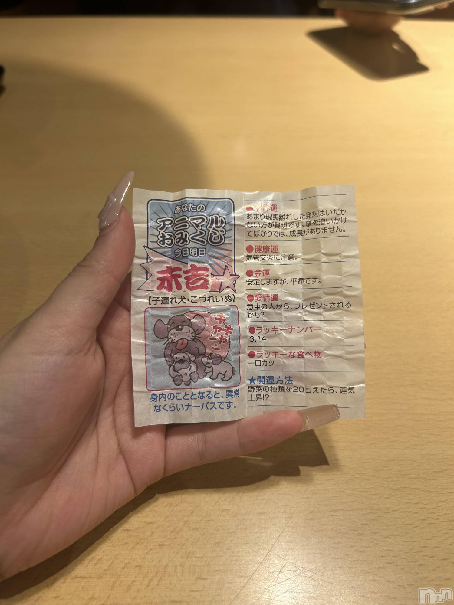 ʥå륺Сʥåܤ(ʥåܥ) 2025ǯ1125ֲ̥֥Τġ