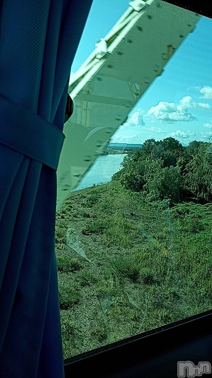 ȯѥ˥󥯥ֿ㥳ѥ˥󥯥ֲ(˥ѥ˥󥯥֥ϥʥ) 2025ǯ119̥֥֤դȡ