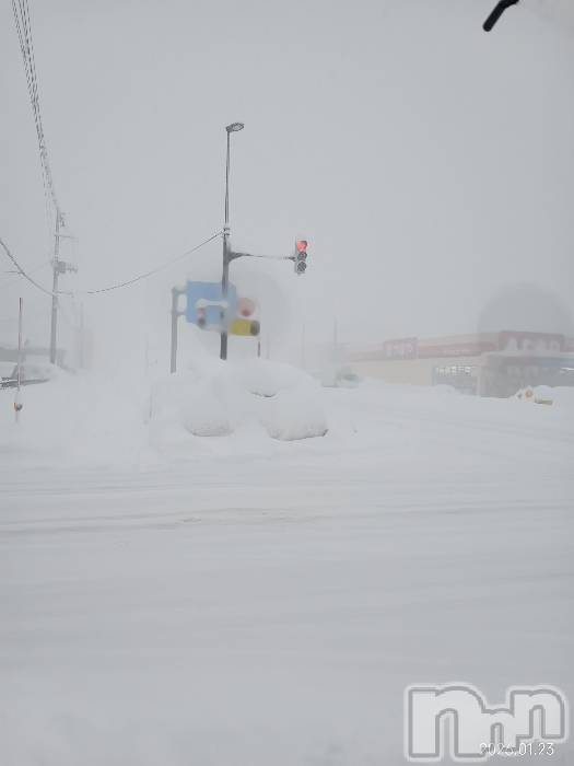 ����ȯ����ѥ˥��󥯥�ֿ��㥳��ѥ˥��󥯥�ֲ���(�˥���������ѥ˥��󥯥�֥ϥʥ�) ��2026ǯ1��23���̥�֥�����Ʊ������ʤΤˡ���