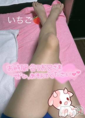 ただいま！今日からまた出ます！