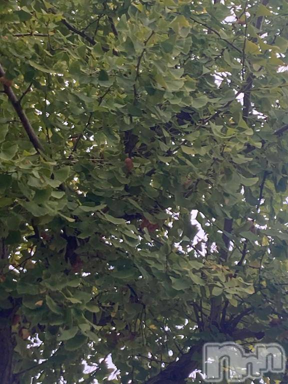 長岡デリヘル純・無垢(ジュンムク) うらん(20)の10月22日写メブログ「新潟駅」