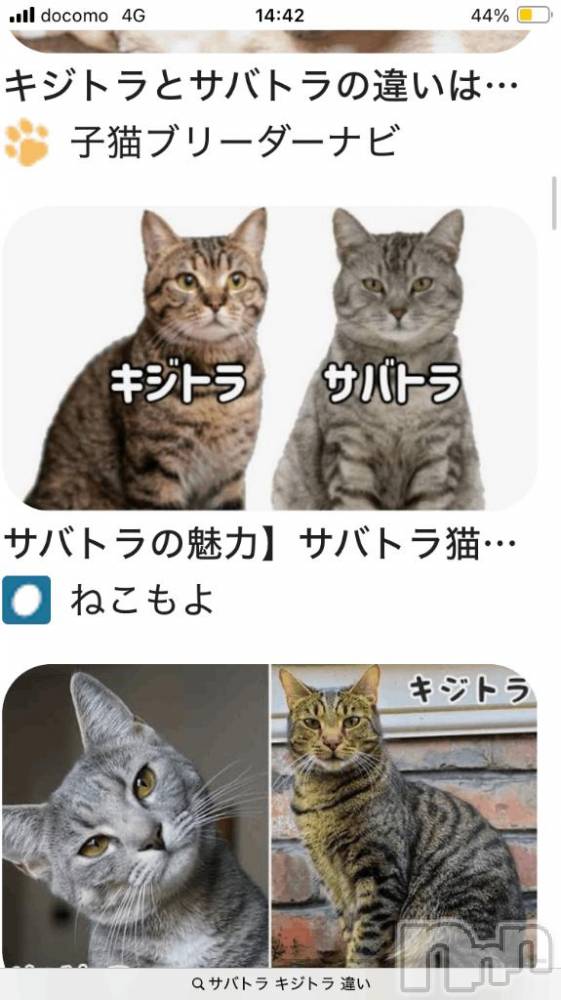 長岡デリヘル純・無垢(ジュンムク) うらん(20)の12月30日写メブログ「連休✨」