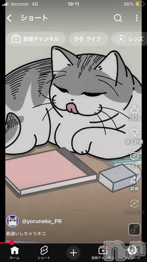 長岡デリヘル純・無垢(ジュンムク)うらん(20)の2025年10月31日写メブログ「猫」