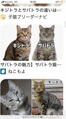 長岡デリヘル純・無垢(ジュンムク) うらん(20)の12月30日写メブログ「連休✨」