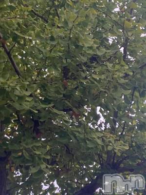 長岡デリヘル 純・無垢(ジュンムク) うらん(20)の10月22日写メブログ「新潟駅」