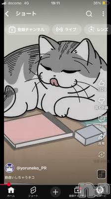 長岡デリヘル 純・無垢(ジュンムク) うらん(20)の10月31日写メブログ「猫」