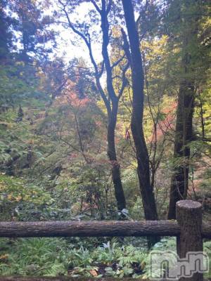 長岡デリヘル 純・無垢(ジュンムク) うらん(20)の11月11日写メブログ「健康志向」