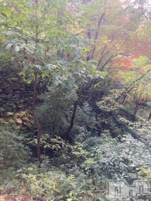 長岡デリヘル 純・無垢(ジュンムク) うらん(20)の11月15日写メブログ「会話」