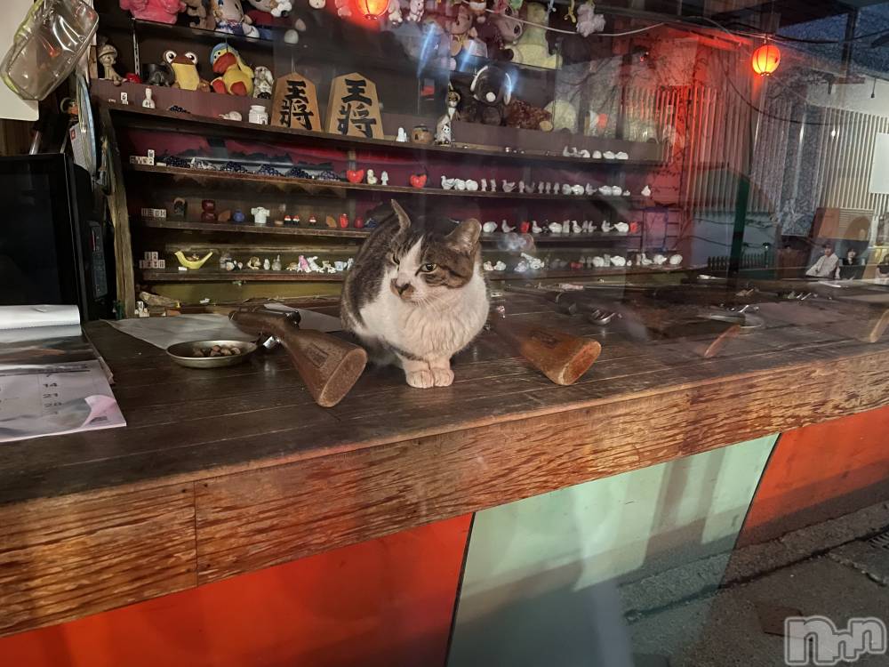 ��Ʋ����Х��顦�����JARDIN CLUB(�������󥯥��) ���꤫��3��27���̥�֥����־廳��♨️🐈��