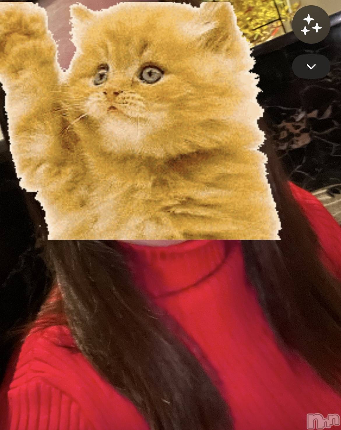 ƲХ顦JARDIN CLUB(󥯥) 2025ǯ129̥֥♦️♦️♦️