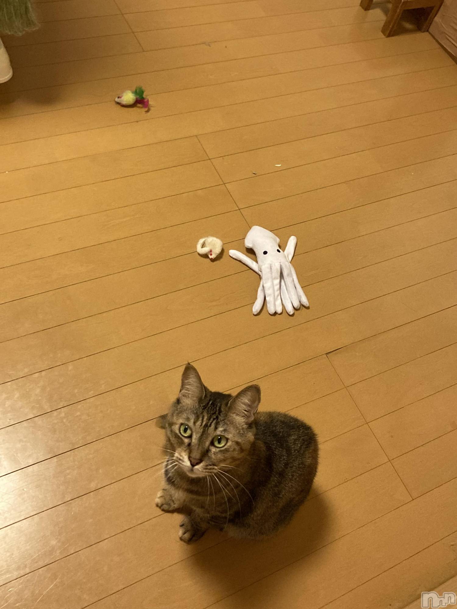 ��Ʋ����Х��顦�����JARDIN CLUB(�������󥯥��) ��2025ǯ12��16���̥�֥����ֺ��������ष�ޤ���🥺��