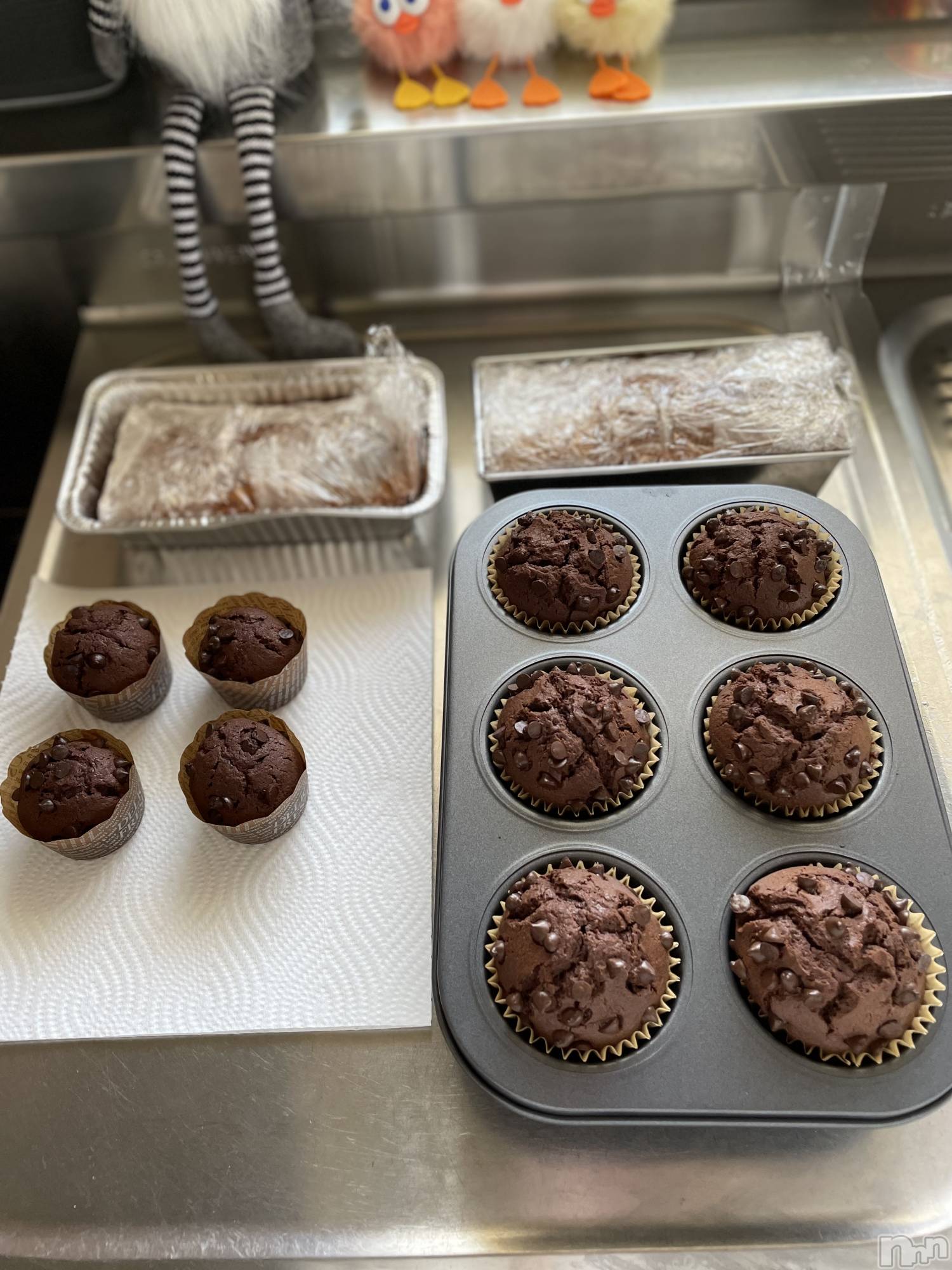 ��Ʋ����Х��顦�����JARDIN CLUB(�������󥯥��) ��2026ǯ2��14���̥�֥����֤��������˾Ƥ��夬��ޤ���🧁��