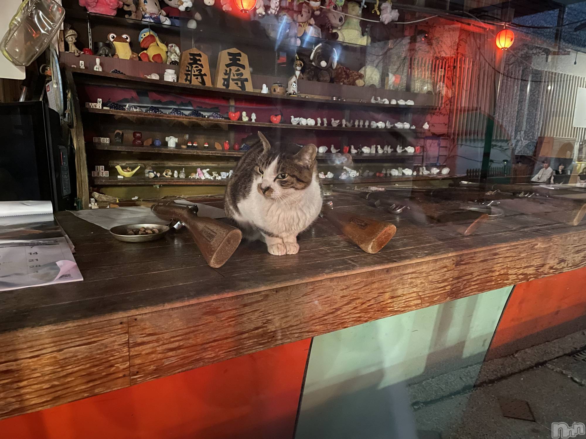 ��Ʋ����Х��顦�����JARDIN CLUB(�������󥯥��) ��2026ǯ3��27���̥�֥����־廳��♨️🐈��