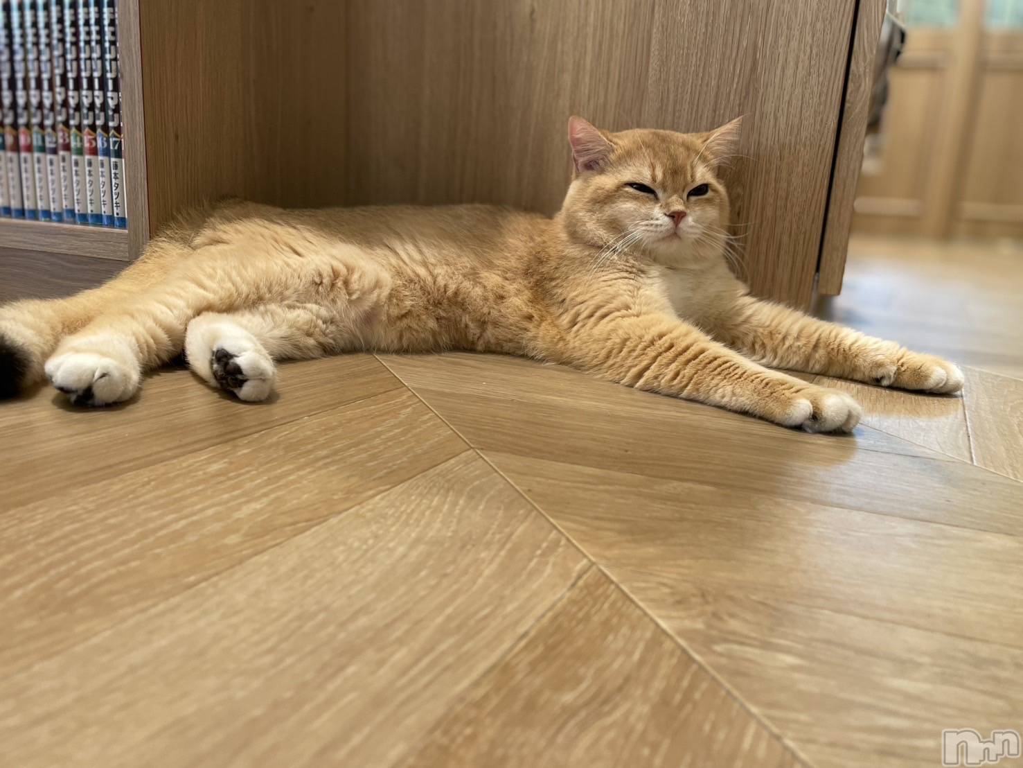 ��Ʋ����Х��顦�����JARDIN CLUB(�������󥯥��) ��2026ǯ4��10���̥�֥�����4/10��