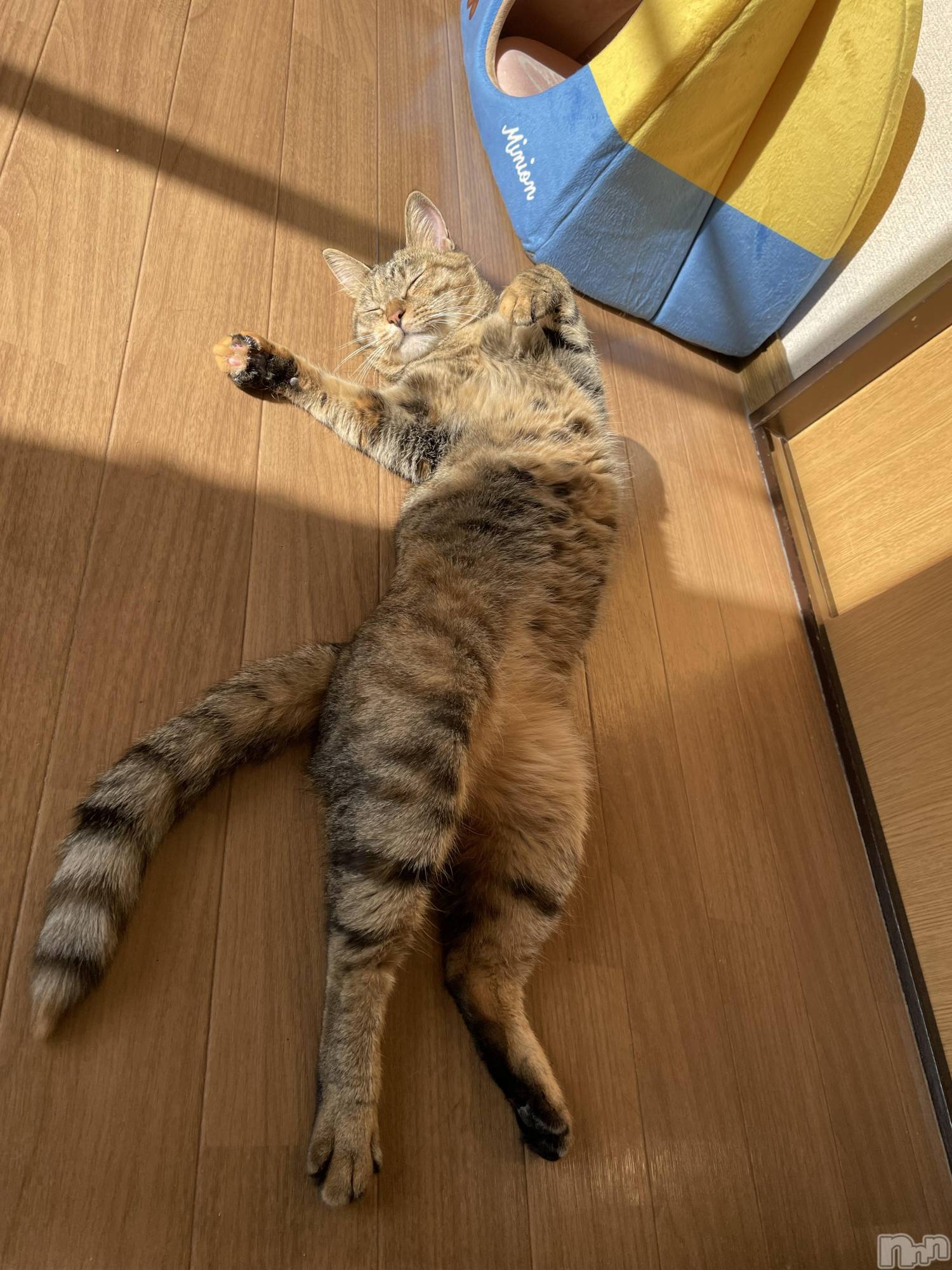 ��Ʋ����Х��顦�����JARDIN CLUB(�������󥯥��) ��2026ǯ4��11���̥�֥�����4/11��