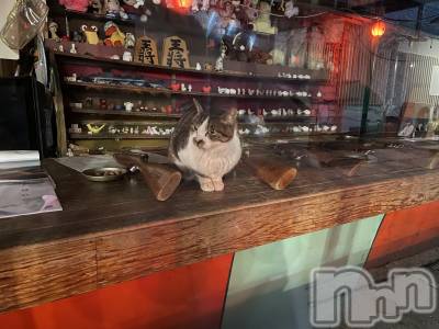 ��Ʋ����Х��顦�����JARDIN CLUB(�������󥯥��) ���꤫��3��27���̥�֥����־廳��♨️🐈��