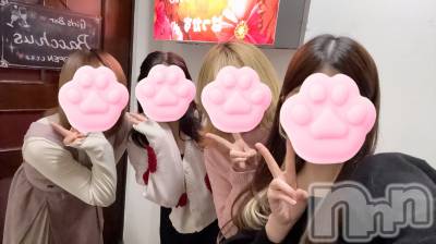 ʥå륺СGirls Bar BacchusŹ(Хåޥƥ) Τ1018ֿ̥֥😋