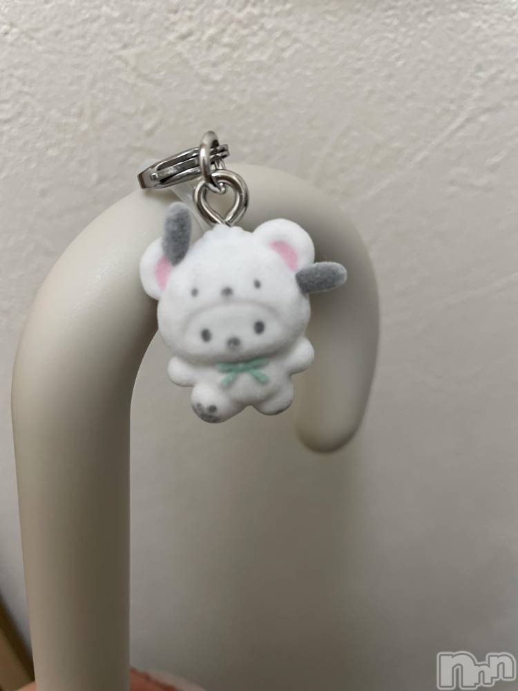 ����������ʥå��������륺�С�Snack amie(���ʥå� ����) �椤��1��11���̥�֥�����- ̗̀ ( ˶'ᵕ'˶) ̖́-��