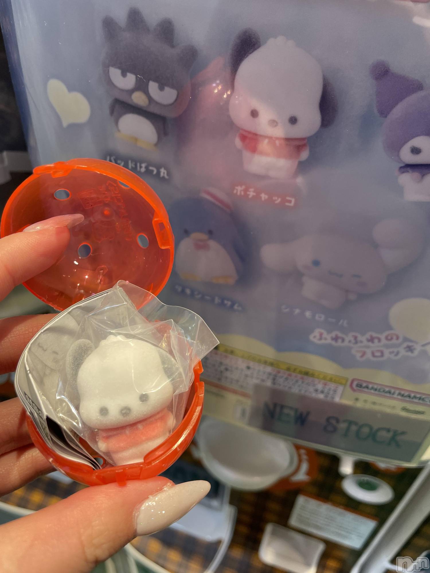 ����������ʥå��������륺�С�Snack amie(���ʥå� ����) ��2026ǯ2��7���̥�֥�����⸜( ˶'ᵕ'˶)⸝�Ԏ�����