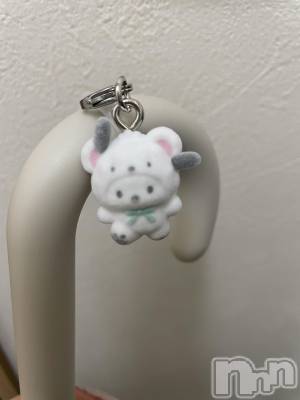 ����������ʥå��������륺�С�Snack amie(���ʥå� ����) �椤(27)��1��11���̥�֥�����- ̗̀ ( ˶'ᵕ'˶) ̖́-��