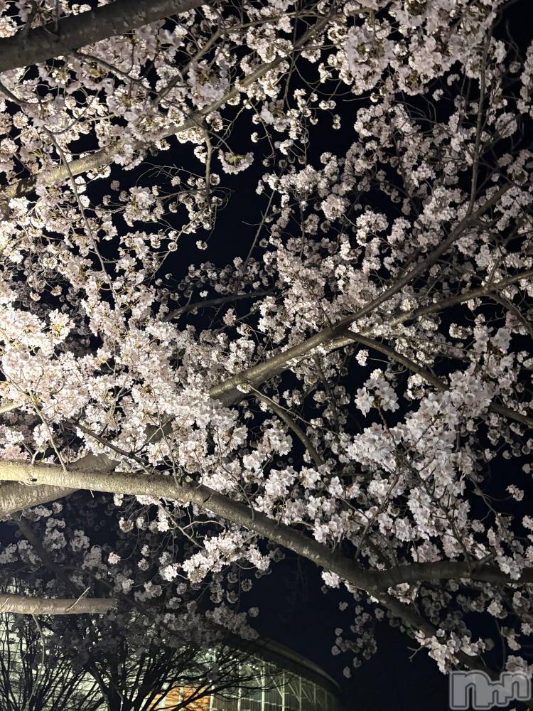 �����������Х��顦�����GRAND ROUGE(�����롼����) ��ߤˤ���4��7���̥�֥����֥ߥ륯����